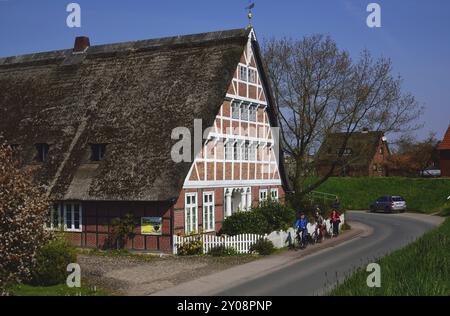 Europa, Deutschland, Niedersachsen, altes Land bei Hamburg, Steinkirchen an der Luehe, altes Fachwerkbauernhaus hinter dem Lueher Deich, künstlerischer Ziegelstein Stockfoto