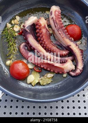 Tintenfisch, Tintenfisch, Olivenöl, Knoblauch, Tomaten, in der Pfanne, Essen, Stuttgart, Baden-Württemberg, Deutschland, Europa Stockfoto