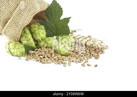 Beutel voller Hopfen und Weizen isoliert auf weißem Hintergrund, wichtige Zutaten in der Lebensmittel- und Getränkeherstellung, insbesondere beim Brauen von Bier Stockfoto