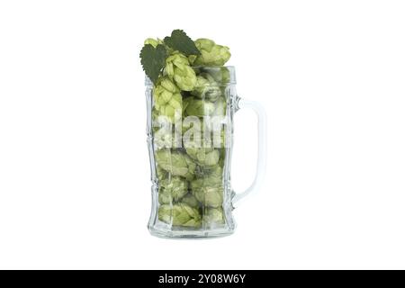 Frische grüne Hopfenzapfen in einem Glasbecher isoliert auf weißem Hintergrund. Zutaten für Bierbrauen Stockfoto