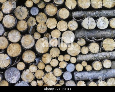 Brennholz Stockfoto