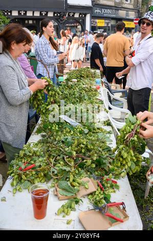 Faversham, Kent, Großbritannien. September 2024. Der zweite Tag des jährlichen Faversham Hop Festivals wird in der ganzen Stadt mit Musik, Kunsthandwerksständen und Morris-Tanz gefeiert. Die Hopfenkränze werden von einer überraschenden Anzahl von Besuchern des Festivals getragen Credit: Phil Robinson/Alamy Live News Stockfoto