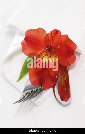 Dekorative Tischdekoration mit roten Orchidee Blume Stockfoto