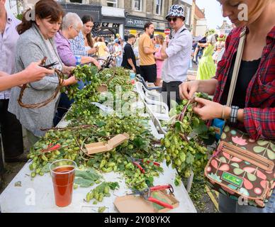 Faversham, Kent, Großbritannien. September 2024. Der zweite Tag des jährlichen Faversham Hop Festivals wird in der ganzen Stadt mit Musik, Kunsthandwerksständen und Morris-Tanz gefeiert. Die Hopfenkränze werden von einer überraschenden Anzahl von Besuchern des Festivals getragen Credit: Phil Robinson/Alamy Live News Stockfoto