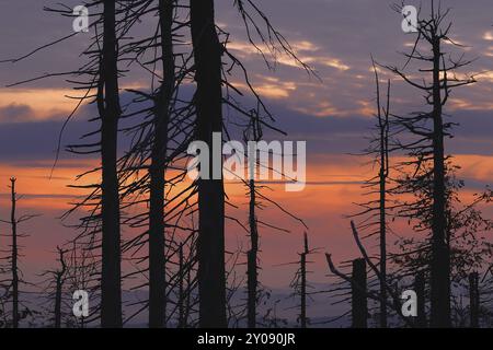 Sonnenuntergang auf den Lusen im Herbst. Nationalpark Bayerischer Wald. Sonnenuntergang auf der Lusen im Herbst Stockfoto