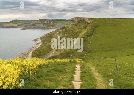 Wandern auf dem South West Coast Path, Richtung Emmetts Hill, Jurassic Coast, Dorset, Großbritannien Stockfoto