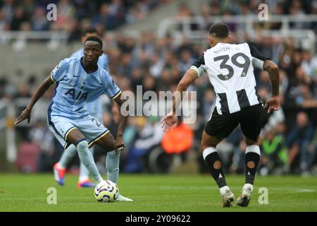 St. James's Park, Newcastle am Sonntag, 1. September 2024. Bruno Guimarães von Newcastle United schließt Tottenham Hotspur Pape Matar Sarr während des Premier League-Spiels zwischen Newcastle United und Tottenham Hotspur im St. James's Park, Newcastle am Sonntag, den 1. September 2024. (Foto: Michael Driver | MI News) Credit: MI News & Sport /Alamy Live News Stockfoto