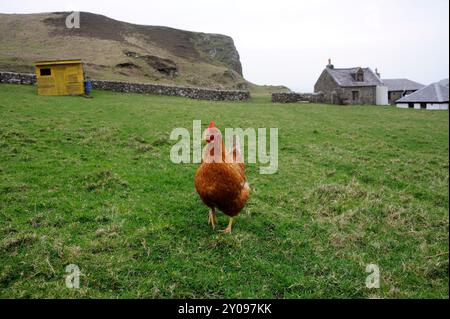 Datei Foto von Sanda Island fotografiert 2012: Die Privatinsel Sanda vor der Kintyre-Halbinsel in Argyll wurde verkauft. Berichten zufolge umfasst die Insel eine eigene Taverne, sieben Häuser, einen Leuchtturm, einen Pier, eine Hutbahn, ein Hubschrauberlandeplatz und mehrere Sandstrände. Die Insel liegt 21 km auf dem Seeweg südlich von Campbeltown und nur 32 km von Ballycastle in Nordirland entfernt. Es hatte in seiner Geschichte eine Reihe verschiedener Besitzer, darunter 1969 Jack Bruce, ein Mitglied der Rockgruppe Cream. Berühmt wurde es auch durch den Weihnachtshit von Sir Paul McCartney und Wings Mull of Kin aus dem Jahr 1977 Stockfoto