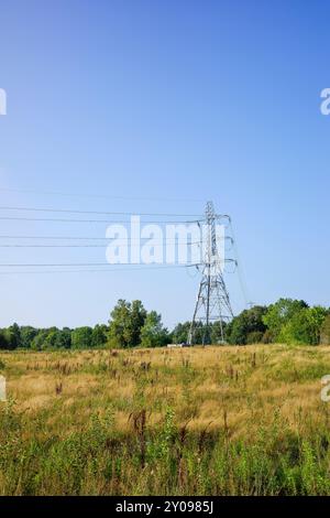 Ein hoher elektrischer Sendeturm, der auf einem grasbewachsenen Feld unter einem wolkenlosen klaren blauen Himmel steht. Stockfoto