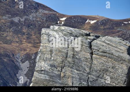 Möwen sitzen auf einem Felsen im Fjord in Norwegen. Raue Steinkonstruktion. Wildvögel. Angelparadies in der Region Selje Stockfoto