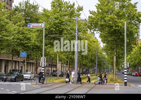 Städtische Begrünung, innerstädtische Straße Laan op Zuid, im Rotterdamer Stadtteil Feijenoord, 4 Fahrspuren, 2 Straßenbahnschienen, Radwege auf beiden Seiten, Gehsteige und p Stockfoto