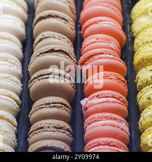 Französische macarons bunte Cookies in der Zeile Stockfoto