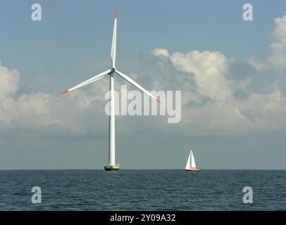 Sailer am Windpark Havemoelle, Dänemark, sailer neben dem Windrad im havmoellepark, Dänemark, Europa Stockfoto