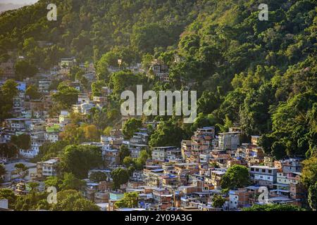 Favela zwischen der Vegetation der Hänge der Hügel In Copacabana in Rio de Janeiro Stockfoto