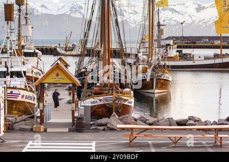 HUSAVIK, ISLAND, 29. JUNI: Am 29. Juni 2013 in Husavik verankerte Walbeobachtungsschoner bei Sonnenaufgang im Hafen von Husavik und in den Bergen im Hintergrund, Stockfoto