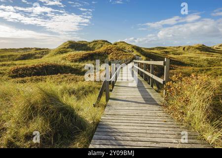 Landschaft in den Dünen auf der Insel Amrum Stockfoto