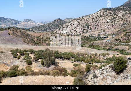 Berge und Wiesen im heißen Andalusien, Spanien, Europa Stockfoto