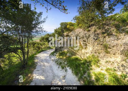 Entdecken Sie Lautrec Place, Tarn, Frankreich, Europa Stockfoto