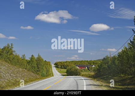 Leere Landstraße führt durch hügelige Landschaft, blauer Himmel mit Wolken, Roeros, Troendelag Stockfoto