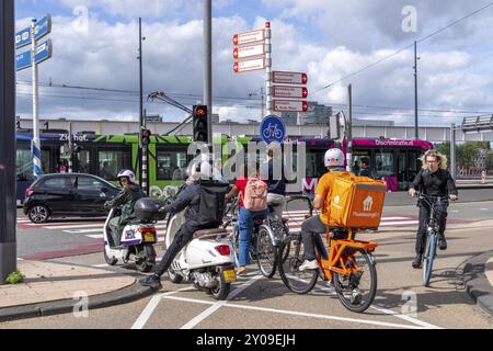 Radfahrer, Mopedfahrer, warten an einer roten Ampel, Feijenoord, vor der Erasmus-Brücke, Rotterdam, Niederlande Stockfoto