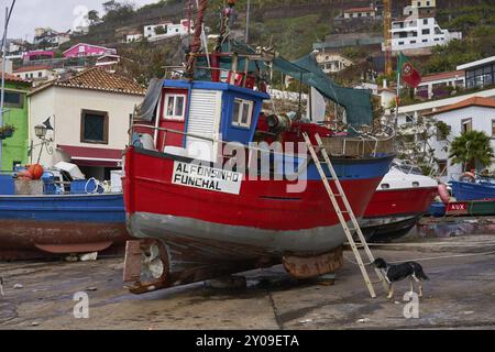 Wunderschönes rotes Fischerboot Alfonsinho in Camara de Lobos, Madeira Stockfoto