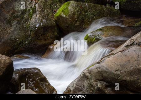 Nahaufnahme eines ruhigen Wasserfalls, der über moosige Felsen in einem Wald fließt. Stockfoto
