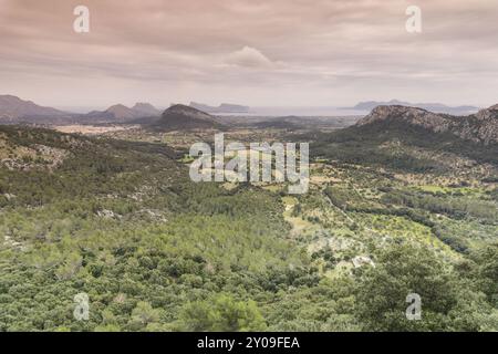 Valle de Colonya, pollenca, Sierra de Tramuntana, Mallorca, Islas Baleares, Spanien, Europa Stockfoto