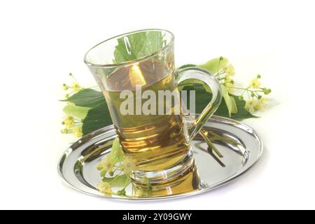 Eine Tasse Limettenblütentee mit frischen Blumen auf weißem Hintergrund Stockfoto