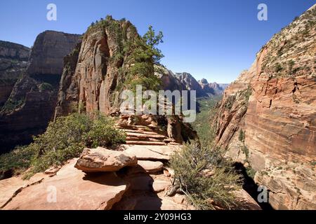 Der Wanderweg nach Angel's Landing im Zion-Nationalpark Stockfoto