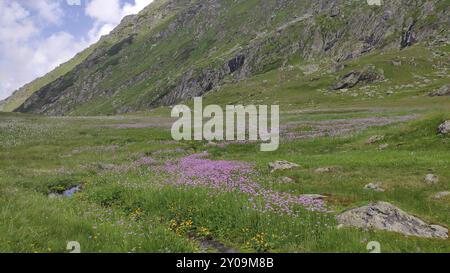 Fagaras-Gebirge, Südkarpaten, Rumänien, Europa Stockfoto