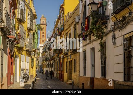 Gasse mit bunten Häusern in der Altstadt, Pasaje Del Marques de Esquivel (Casco Antiguo), in Sevilla, Spanien, Europa Stockfoto