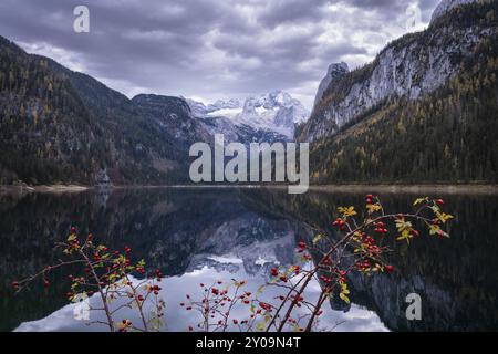 Der vordere Gosausee im Herbst mit Blick auf die Dachsteinkette. Der Gosaukamm ist rechts. Bewölkter Himmel. Reflexion. Vorderer Gosausee Stockfoto