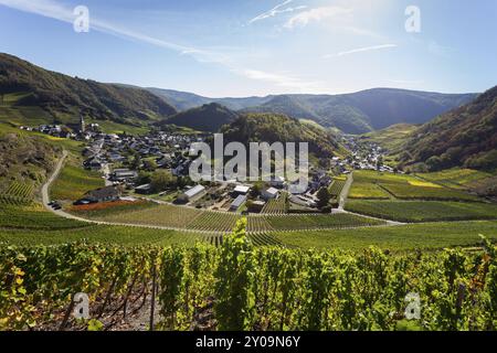 Wandern auf dem Rotweinweg im Ahrtal zwischen Altenahr und Ahrweiler in den Weinbergen an einem sonnigen Herbsttag Stockfoto