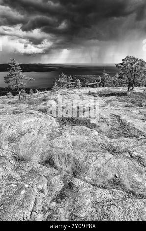 Regenschauer über dem Bottnischen Golf, Skuleskogen-Nationalpark, Hoega Kusten-Weltkulturerbe, Vaesternorrland, Schweden, Juli 2012, Europa Stockfoto