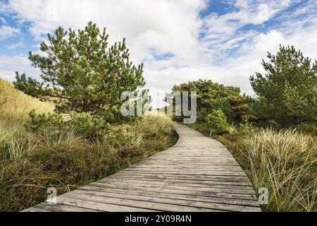 Landschaft in den Dünen auf der Insel Amrum Stockfoto