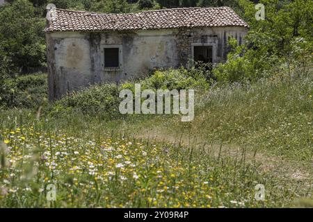 Baufälliges Haus im alten Bergdorf Perithia auf Korfu, Griechenland, Europa Stockfoto