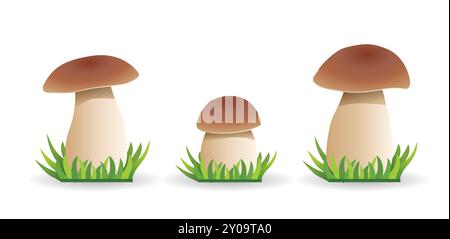 Nahtloses Vektormuster mit niedlichen Cartoon Waldpilzen. Speisepilzboletus auf weißem Hintergrund. Stock Vektor