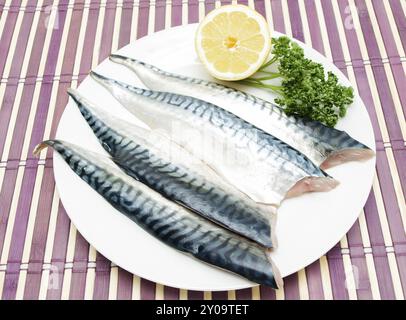 Rohe Makrelenfilets mit einer halben Zitrone und grüner Petersilie auf weißem Teller über violetter Holzplatte Stockfoto