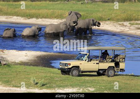 Safari Stockfoto