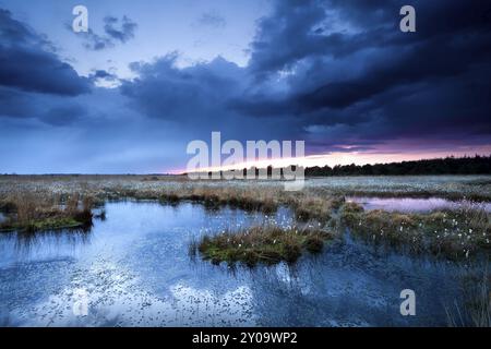 Gewitter über Sümpfen im Frühling, Drenthe, Niederlande Stockfoto