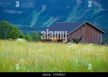 Ländliche Landschaft mit einer Heuwiese mit Wildblumen und einer alten schwedischen Holzscheune vor einem hohen Berg im Sommer. Stockfoto