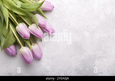 Blumenstrauß aus rosa Tulpen auf hellgrauem Hintergrund flach Ansicht von oben kopieren Raum Stockfoto