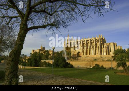 Catedral de Palma (La Seu) (s.. XIV-XVI) Parque del mar.Palma.Mallorca.Baleares.Espana Stockfoto