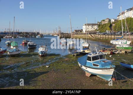 BRIXHAM, DEVON, Großbritannien, 28. JULI: Blick auf Boote im Hafen von Brixham Devon am 28. Juli 2012 Stockfoto