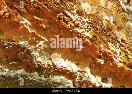 Altes Burggestein im Dahner Felsenland im Herbst, altes Burggestein im Dahn Rockland im Herbst, Deutschland, Europa Stockfoto