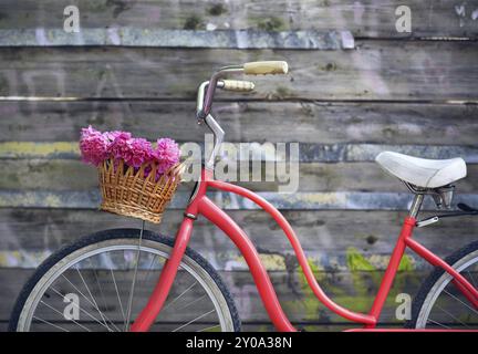 Oldtimer Fahrrad mit Korb mit Pfingstrose Blumen in der Nähe der alten hölzernen Wand Stockfoto