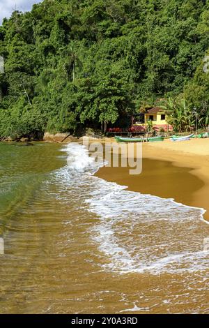 Blick auf den Red Beach und das Treffen zwischen dem Meer und den Regenwald auf der grünen Küste von Rio De Janeiro Stockfoto