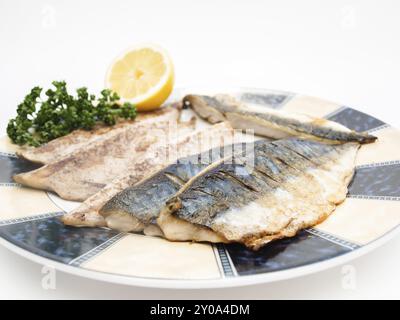 Gebratene Makrelenfilets auf bunten Teller mit einer halben Zitrone und Petersilie Stockfoto