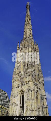 Stephansdom Spire Tower in Wien Österreich Stockfoto