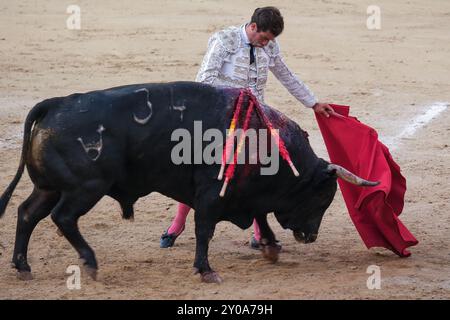 Stierkämpfer Ruben Pinar während des Stierkampfes von Corrida de Toros auf der Plaza de las Ventas in Madrid, 1. September 2024 Spanien Stockfoto